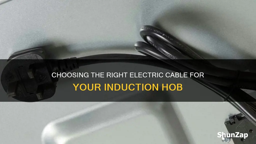 what size electric cable for induction hob