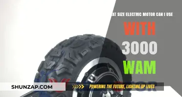 Choosing the Right Electric Motor Size for 3000 Watt Applications