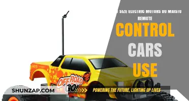 Maisto RC Cars: Unveiling the Electric Motor Sizes Inside