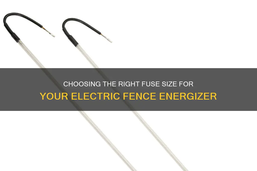 what size fuse does an electric fence box use