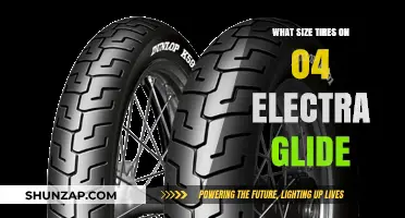 Tire Talk: 04 Electra Glide's Perfect Fit