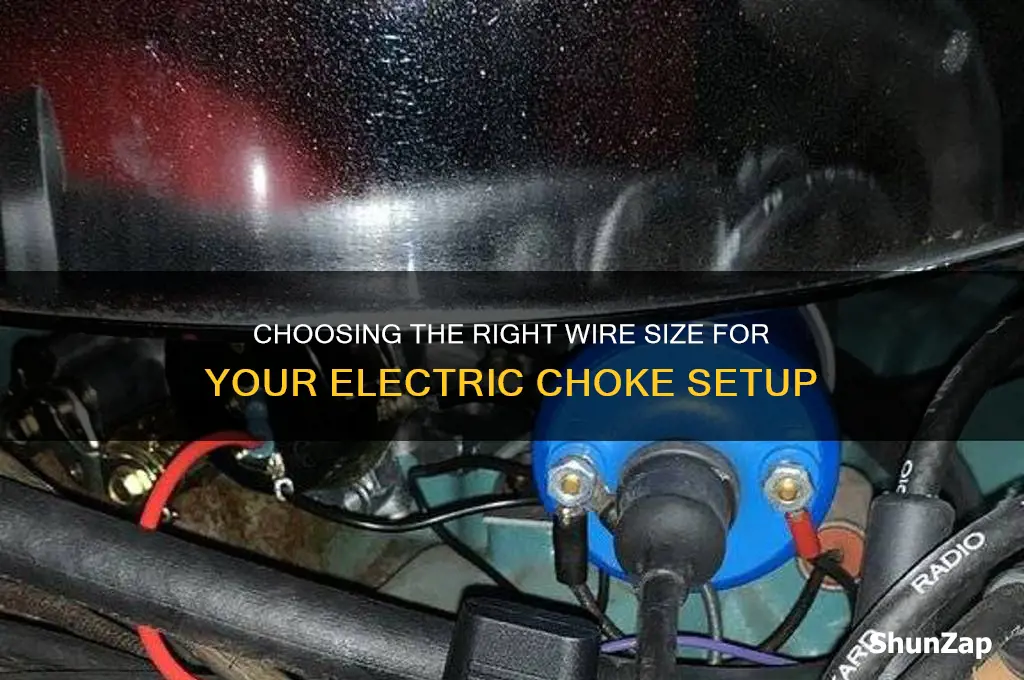 what size wire should i use for an electric choke