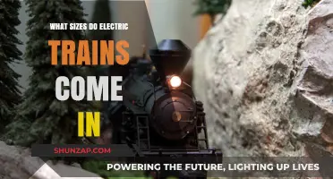Electric Trains: Understanding Their Sizes and Scales