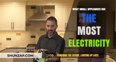 Top Energy-Draining Small Appliances: Uncovering Hidden Electricity Costs