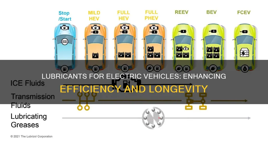 what soft of lubricant go in electric vehicle