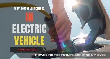 Electric Vehicle Lubrication: Choosing the Right Lubricant