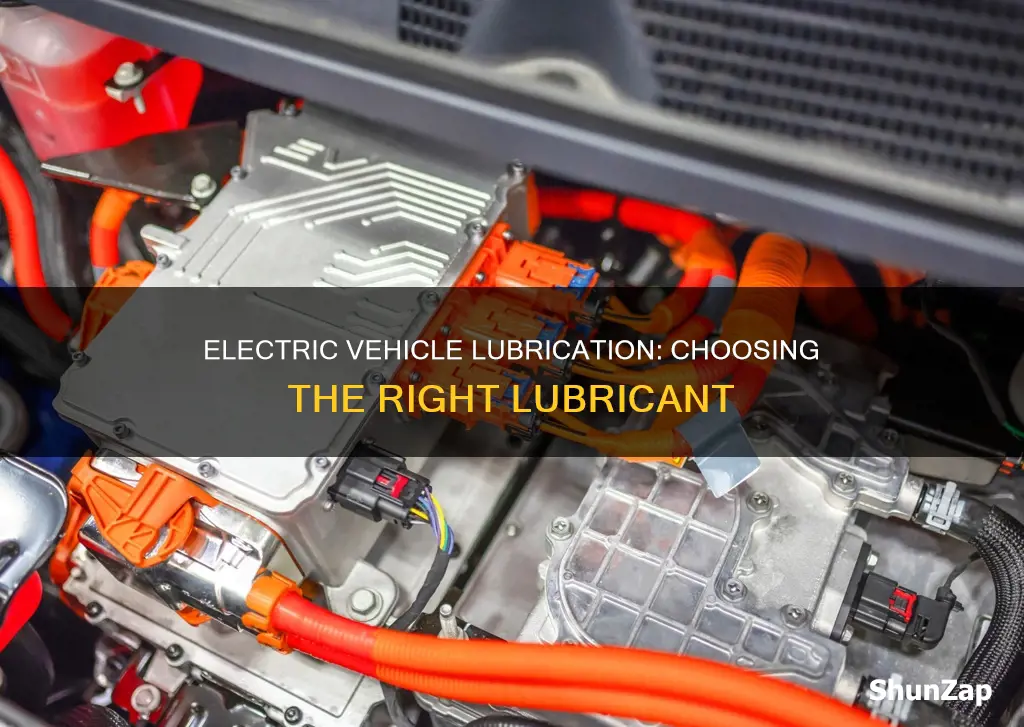 what soft of lubricant go in electric vehicle