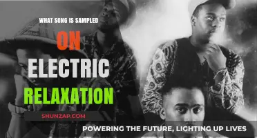 Electric Relaxation: What Song Was Sampled?