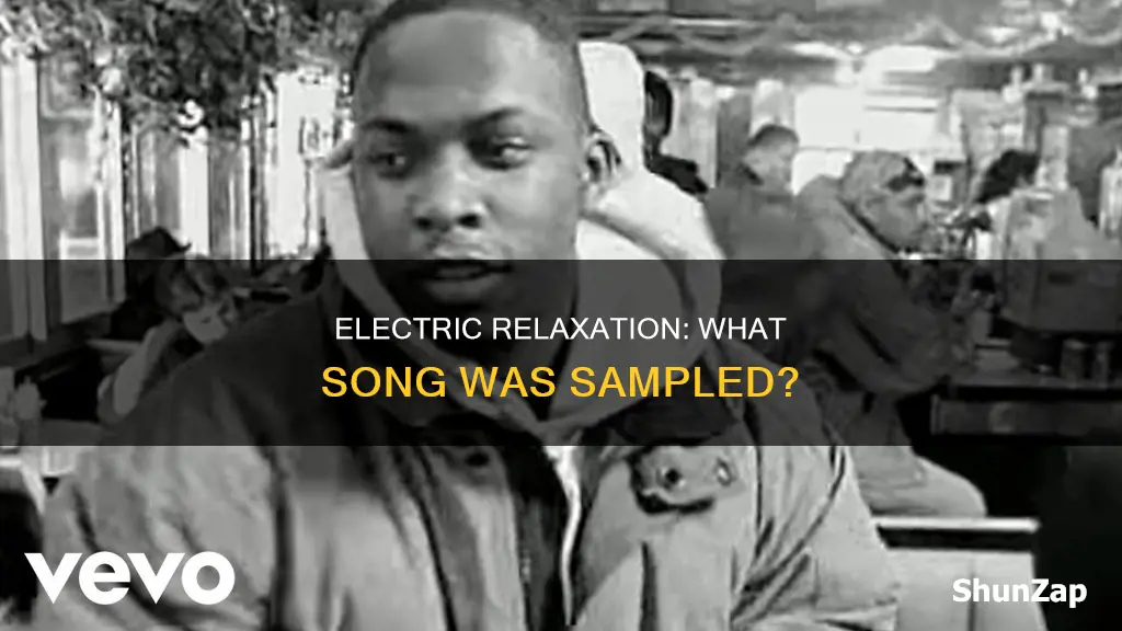 what song is sampled on electric relaxation