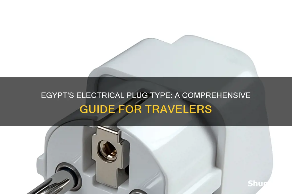 what sort of electrical plug is used in egypt