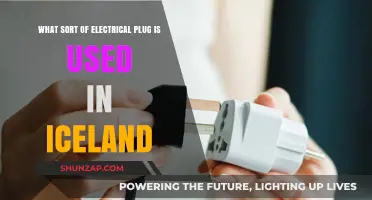 Iceland's Electrical Plug Type: A Traveler's Guide to Power Adapters
