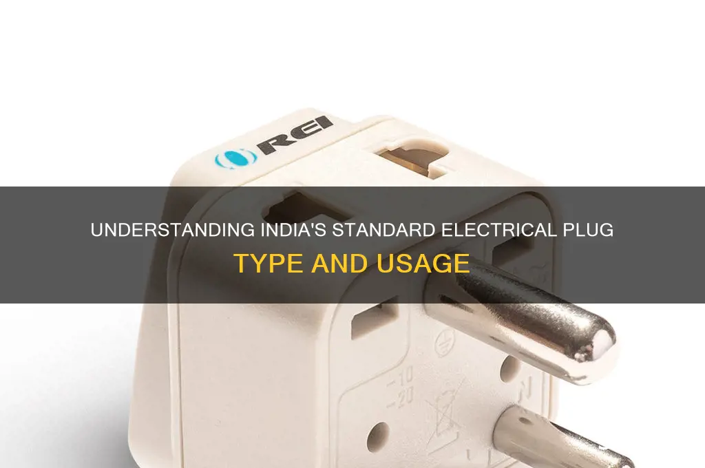 what sort of electrical plug is used in india
