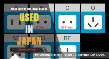 Japan's Electrical Plug Type: A Comprehensive Guide for Travelers