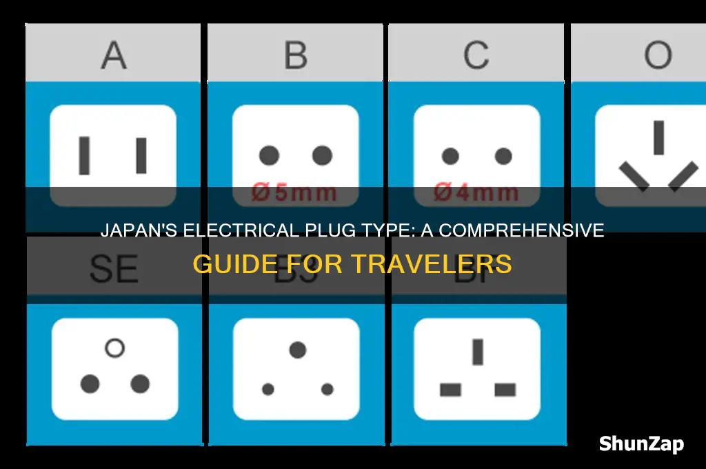what sort of electrical plug is used in japan