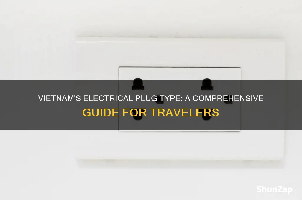 what sort of electrical plug is used in vietnam