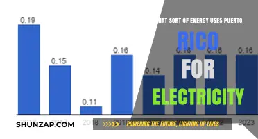 Puerto Rico's Electricity Sources: Exploring the Island's Energy Mix