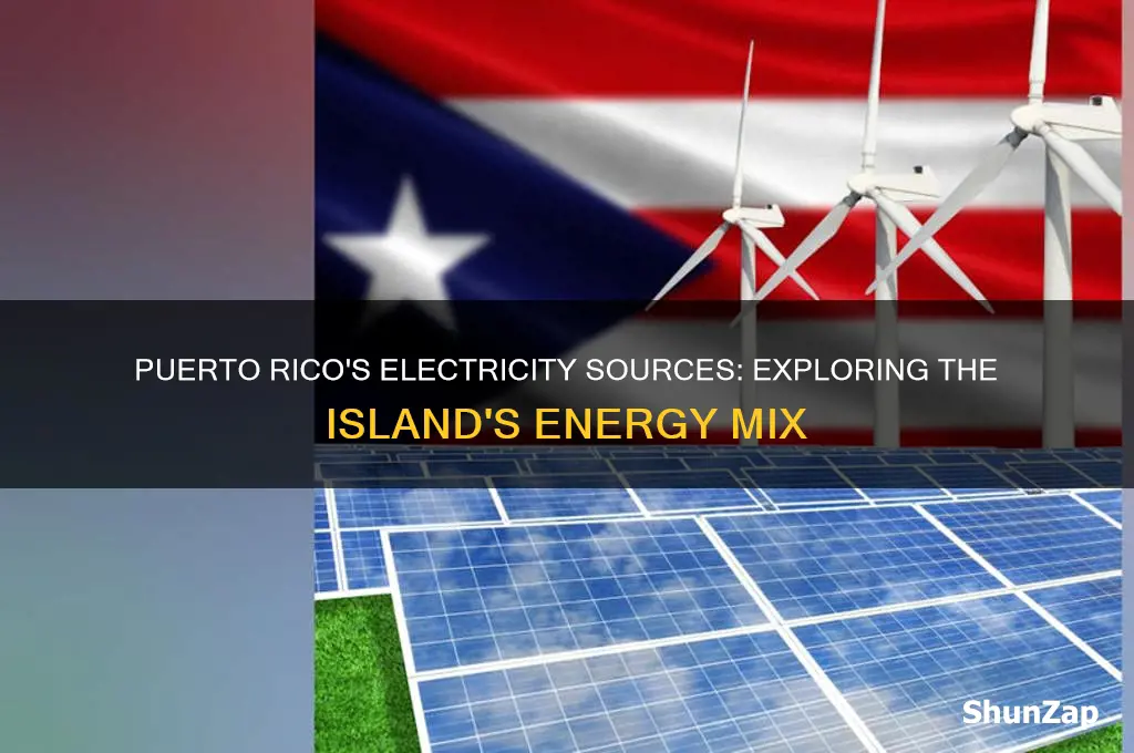 what sort of energy uses puerto rico for electricity