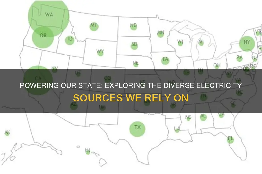 what sources are used to generate electricity in your state