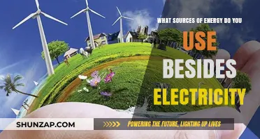 Exploring Alternative Energy Sources: Beyond Electricity for Sustainable Living