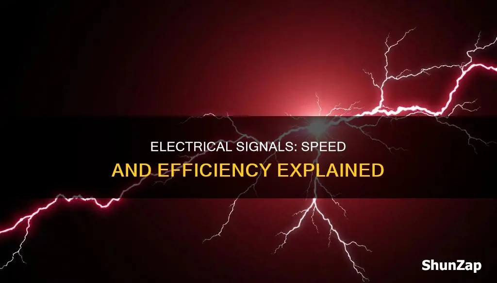 what speed do electrical signals travel at