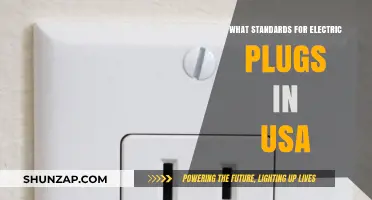 US Electric Plugs: Standards and Compatibility