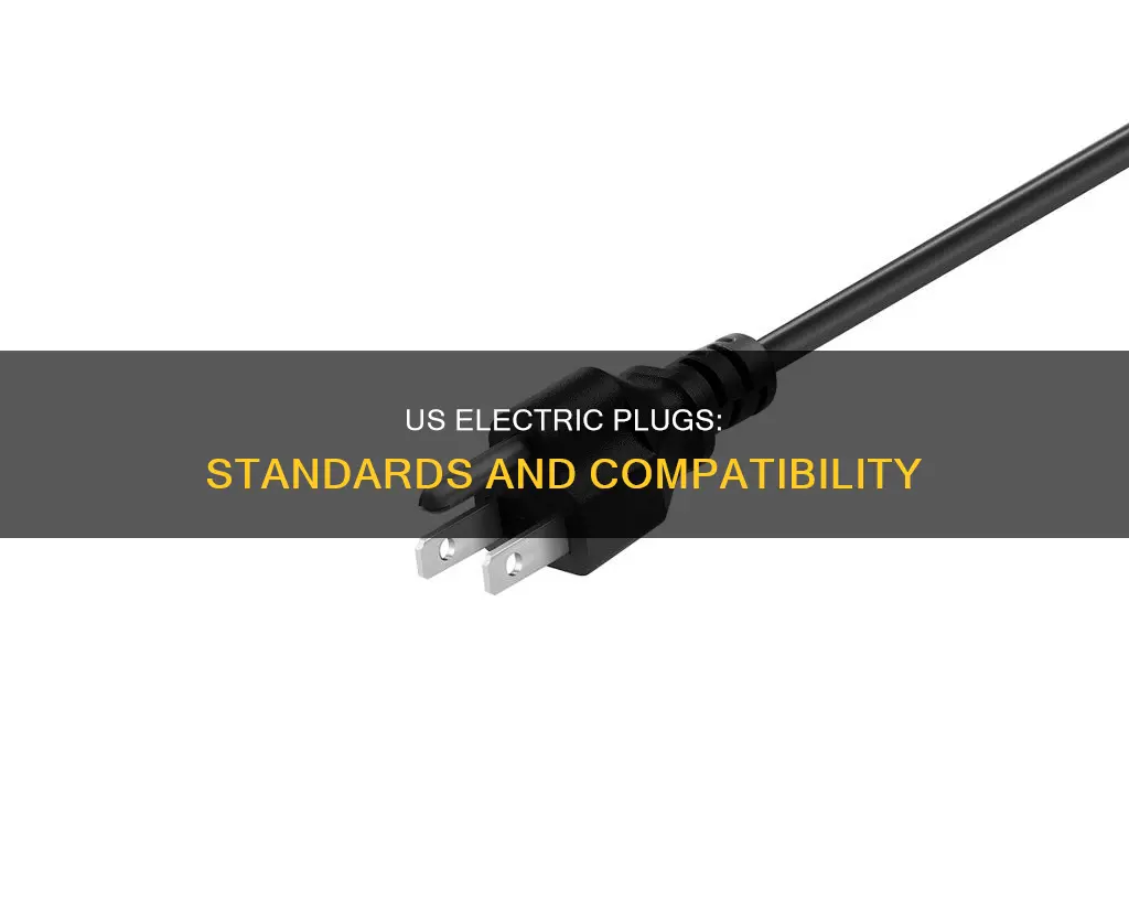 what standards for electric plugs in usa