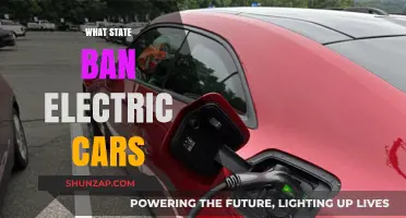 Which U.S. State is Banning Electric Cars and Why?