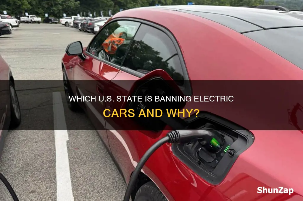 what state ban electric cars