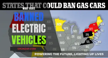 The State That Banned Electric Vehicles: A Shocking Decision