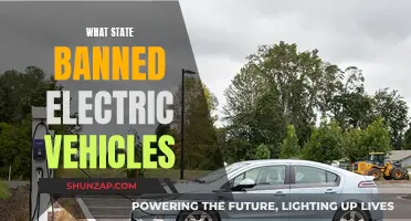 The State That Outlawed Electric Vehicles