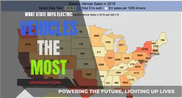 Electric Vehicle Sales: The Top-Purchasing State Revealed