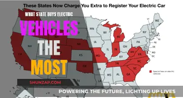 Electric Vehicle Revolution: Which State Leads the Charge?