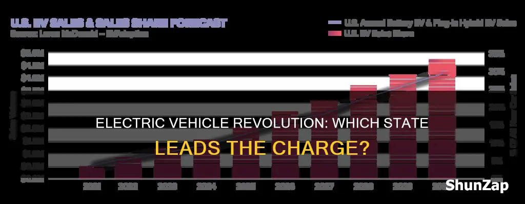 what state buys electric vehicles the most