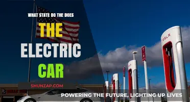 Electric Cars: Leading States in Adoption and Infrastructure Growth