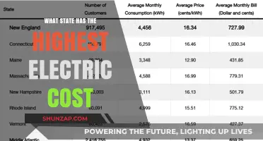 Electric Costs: Which State Pays the Most?