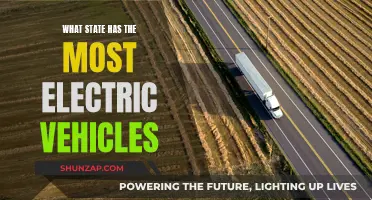 Electric Vehicle Revolution: Which State Leads the Charge?