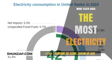 Which U.S. State Consumes the Most Electricity Annually?