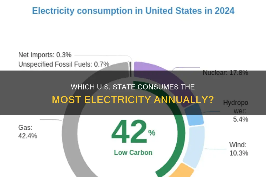 what state uses the most electricity