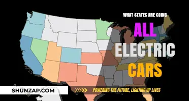 Which U.S. States Are Leading the All-Electric Car Revolution?
