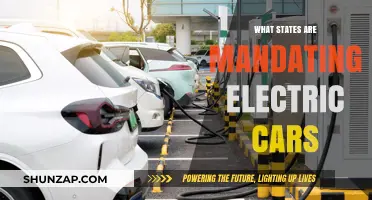 Which U.S. States Are Mandating Electric Vehicle Adoption Soon?