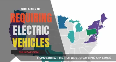 Electric Vehicle Mandate: States Leading the Charge