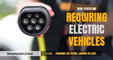US States Leading the Electric Vehicle Revolution