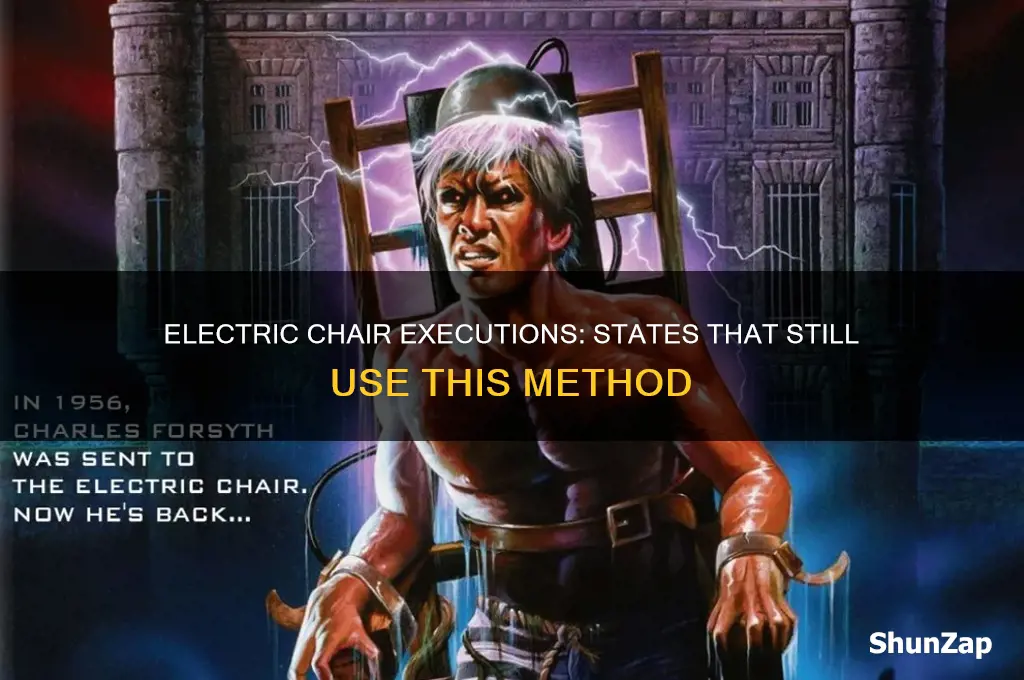 what states have execution by electric chair