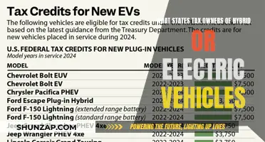 Electric Vehicle Owners: Which States Tax You? A Guide