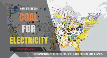 Which U.S. States Rely on Coal for Electricity Generation?