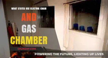 States Still Using Electric Chair and Gas Chamber for Executions