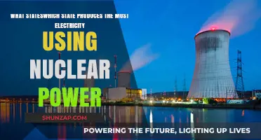 Top U.S. State Leading Nuclear Power Electricity Generation