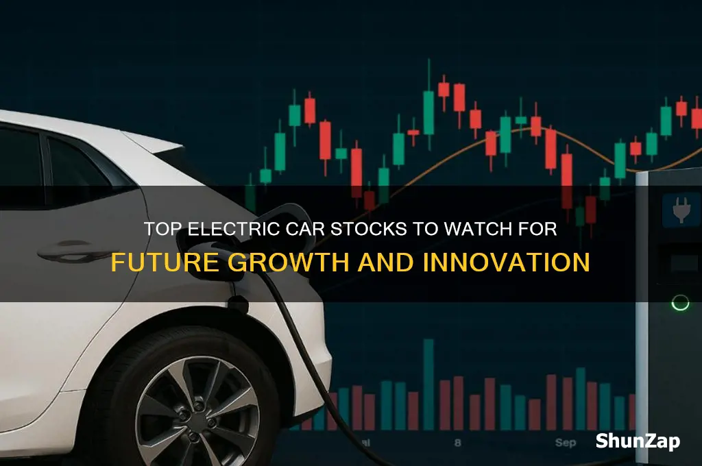 what stock is for electric cars