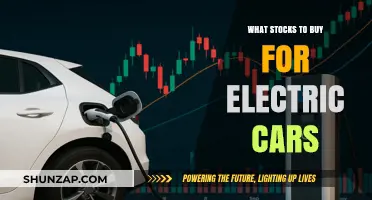 Top Electric Car Stocks to Buy Now for Future Growth