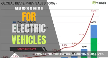 Unleash the Future: Top Stocks for Electric Vehicle Revolution